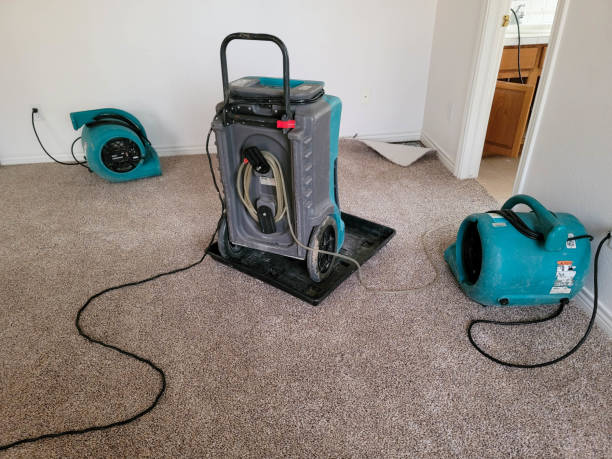 Best Residential water damage restoration  in Choctaw, OK