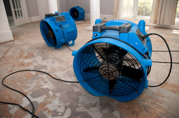 Professional Water damage restoration in Choctaw, OK