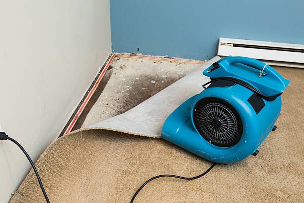 Best Sewage cleanup and water damage restoration  in Choctaw, OK